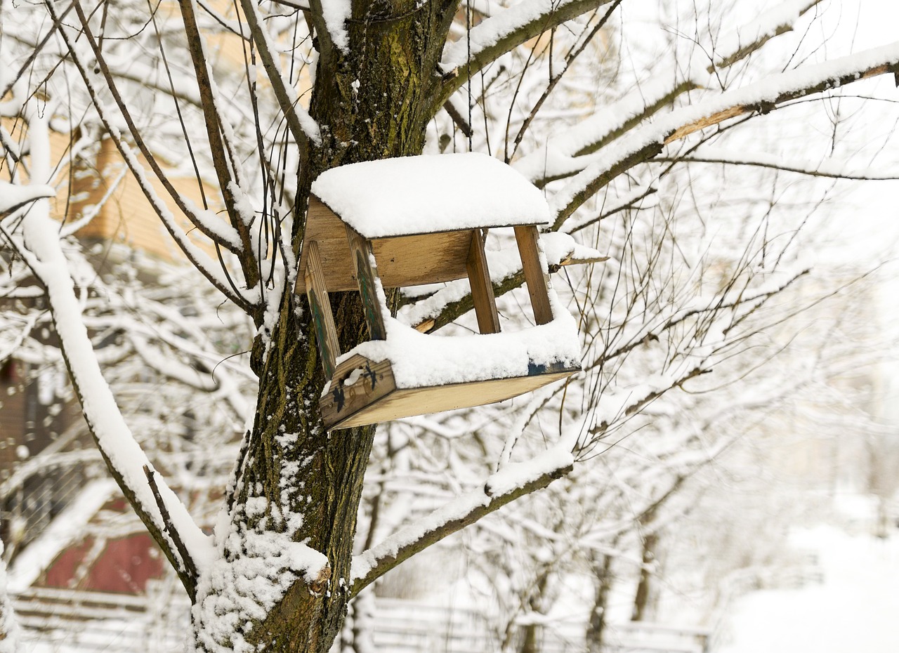 How to Build a DIY Birdhouse for Your Garden